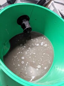 tyle brudu po praniu tapicerki